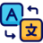 language_icon