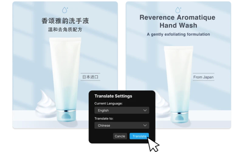 Obraz przedstawiający funkcję tłumacza obrazów Transmonkey