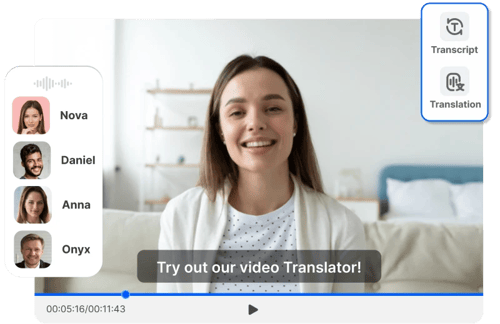Image showing the feature of Transmonkey Video Translator