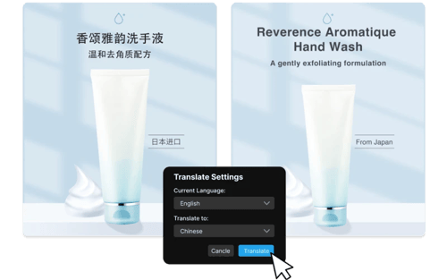 Image showing the feature of Transmonkey Image Translator